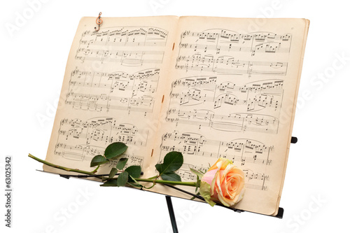 Obraz na PCV Yellow rose and an ancient music score isolated on white