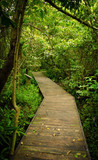 Fototapeta Dziecięca - Wooden bridge pathway in the forest at national park