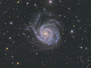 Wall Mural - m101 pinwheel galaxy