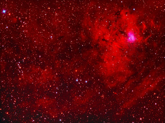 Wall Mural - ngc1491 emission nebula in perseus