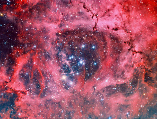 Wall Mural - rosette nebula in monoceros ngc2244