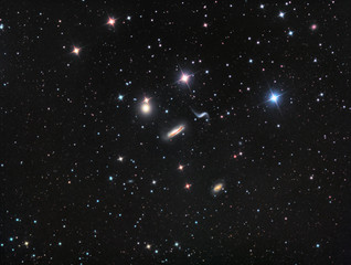 Wall Mural - hickson 44 galaxy group