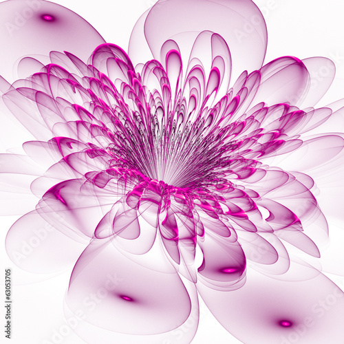 Naklejka na szybę Beautiful purple flower on white background. Computer generated
