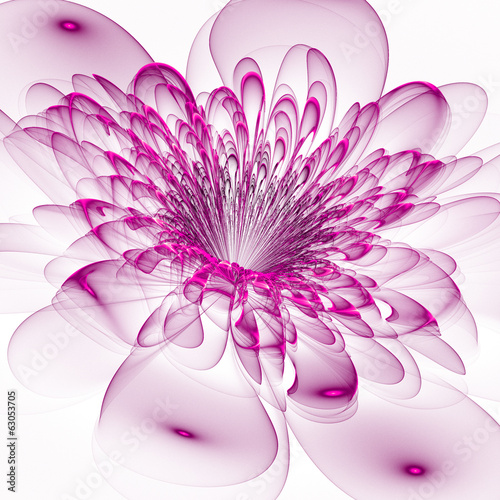 Tapeta ścienna na wymiar Beautiful purple flower on white background. Computer generated