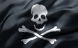 pirate flag in the wind