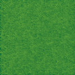 Green grass field. Seamless vector.