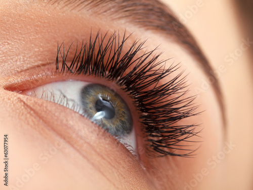 Poster Woman eye with long eyelashes. Eyelash extension