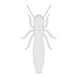© bescec - cartoon image of termite ant