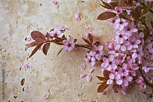 Naklejka na szybę Spring Blossoms on a Stone Background