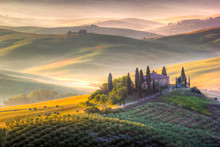 Tuscan Morning