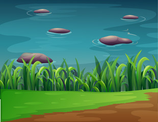 Poster - A pond with rocks