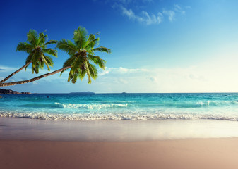 Wall Mural - sunset on seychelles beach