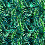160_f_63180387_i44vbrtwrixruulw8p9qnulxh0ydruvp