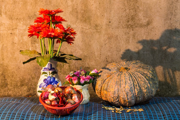 still life - pumpkin, dried chilli, shallots, and garlic, pumpki