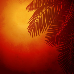 Wall Mural - branches of palm trees at sunset