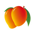 Mango on white background