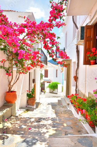 Plakaty uliczka z kwiatami   waskie-uliczki-w-skopelos-grecja