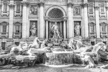 Wall Mural - Trevi fountain in Rome