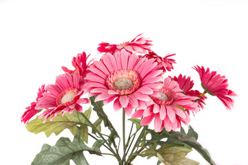 isolated bouquet of fake flower is pink gerbera on white backgro