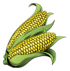 Sticker - Corn vintage woodcut illustration