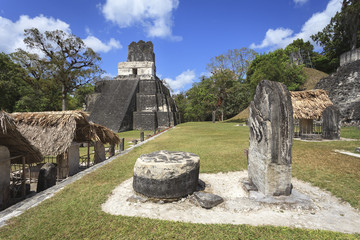 Wall Mural - Mayan pyramid in Tikal, Guatemala