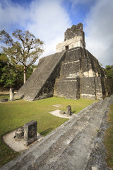 Wall Mural - Mayan pyramid in Tikal, Guatemala