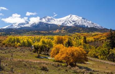 Wall Mural - Colorful Colorado mountain in autumn