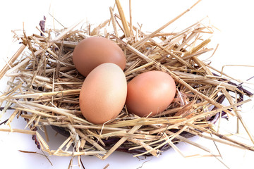 Healthy domestic eggs in a nest of straw on a white background