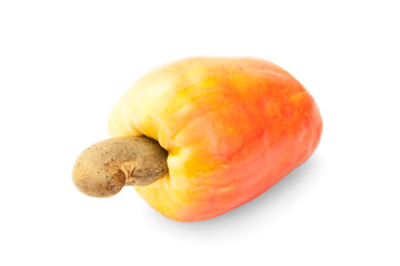 Brazilian Caju Cashew Fruit