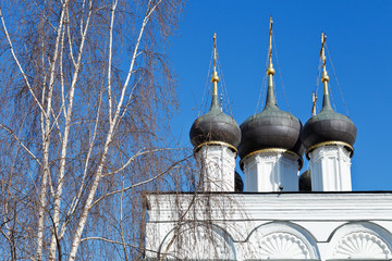 Wall Mural - white birch and white walls of russian church