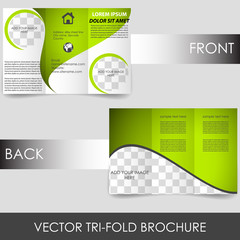 Wall Mural - Tri-fold corporate business brochure