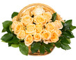 Bouquet of yellow rose flowers in basket isolated on white background