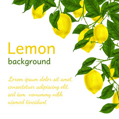 Sticker - Lemon background poster