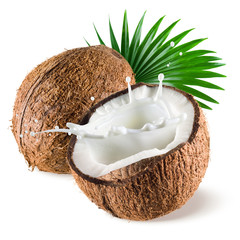 Wall Mural - Coconut with milk splash and leaf on white background