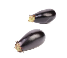 Wall Mural - Two large eggplant.