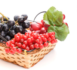 Fresh cranberries and grapes in basket isolated on white backgro