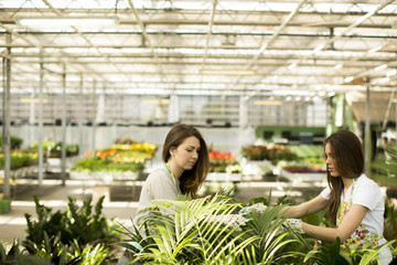 Wall Mural - Young women in flower garden