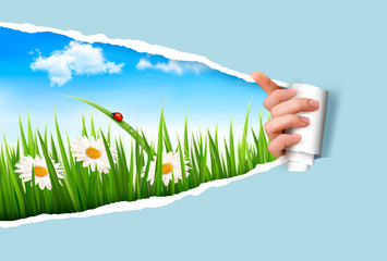Poster - Spring background with flowers, grass and a ladybug. Vector.