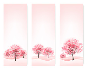 Aufkleber - Three spring banners with blossoming sakura trees. Vector.