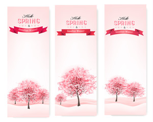 Poster - Three spring banners with blossoming sakura trees. Vector.
