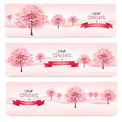 Fototapete - Three spring banners with blossoming sakura trees. Vector.