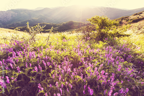 Naklejka - mata magnetyczna na lodówkę Summer meadow