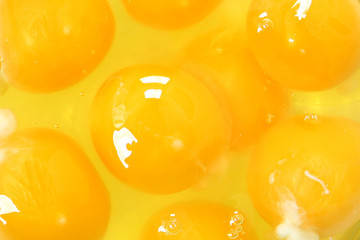 Egg Yolk Close Up Background