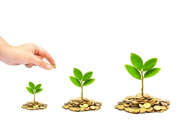 hand giving a golden coin to a tree growing from pile of coins