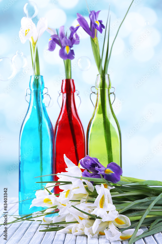 Beautiful irises and daffodils in bottles, on light background