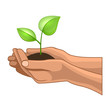 © Sergei Sizkov - Hands and Plant on White Background. Vector