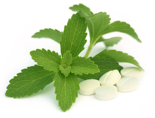 Stevia with tablets