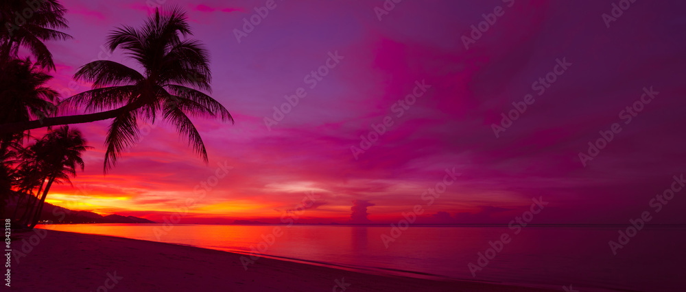 Tropical sunset with palm tree silhouette panorama - obrazy, fototapety, plakaty 