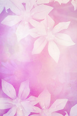 Wall Mural - Pretty white flowers artistic background