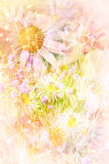 Wall Mural - Pretty daisies artistic background